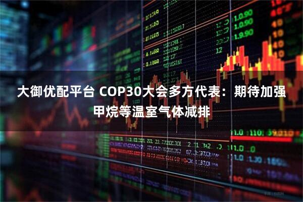 大御优配平台 COP30大会多方代表:期待加强甲烷等温室气体减排